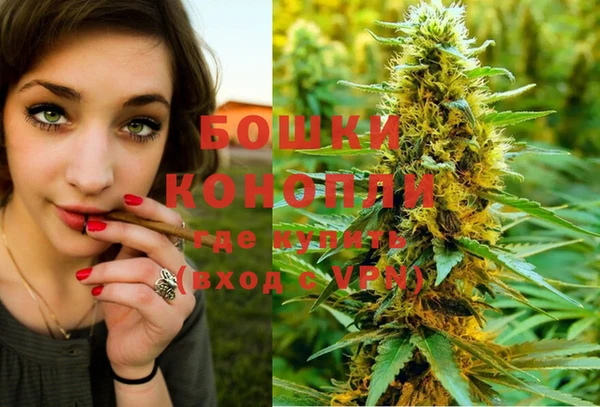 MDMA Каменногорск