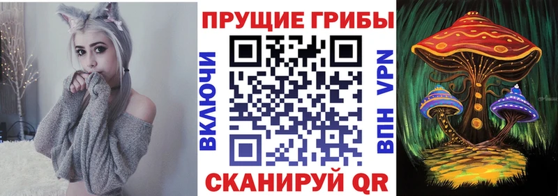 как найти закладки  Солнечногорск  Псилоцибиновые грибы прущие грибы 