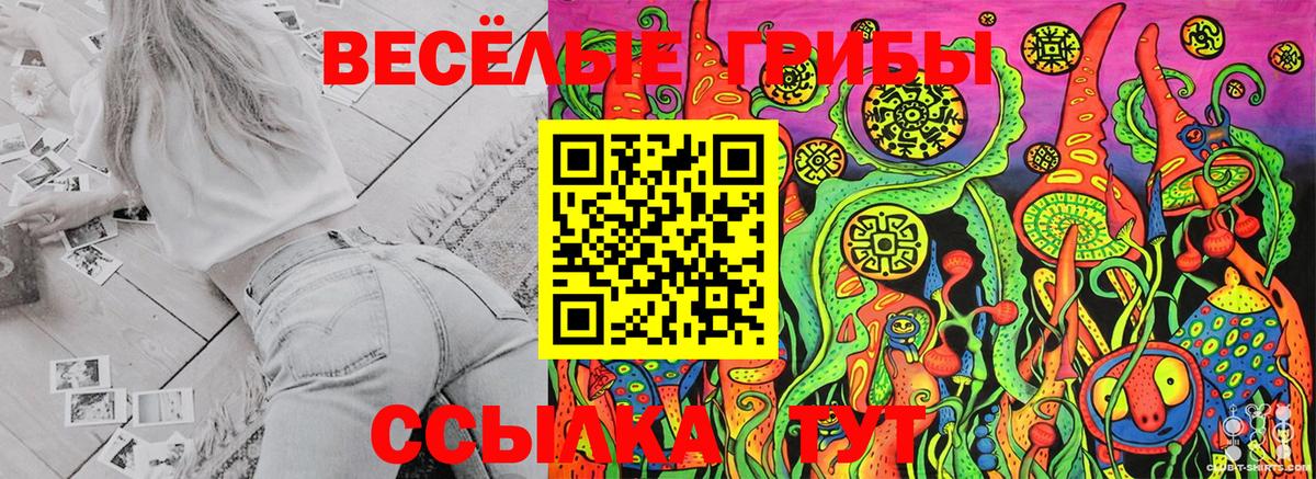 Псилоцибиновые грибы мицелий Солнечногорск