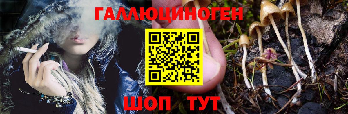Галлюциногенные грибы Cubensis  Псилоцибиновые грибы Cubensis  Солнечногорск 