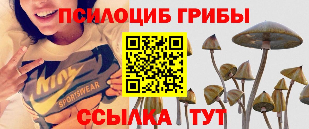 Псилоцибиновые грибы Psilocybine cubensis  Вход с VPN  Псилоцибиновые грибы мухоморы  Солнечногорск 